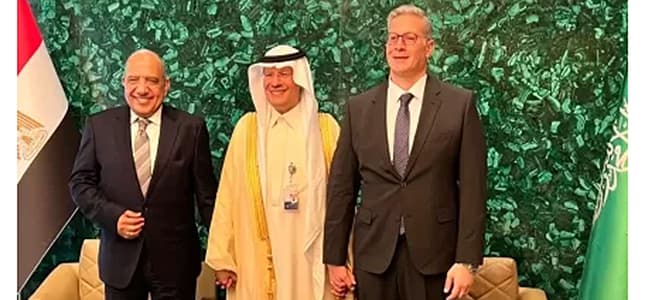 شراكة استراتيجية بين مصر والسعودية في مجال الطاقة المتجددة